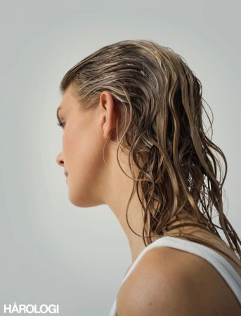 Shampoo